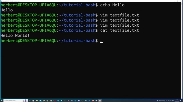 Demonstrating basic terminal commands: `echo` to print text and `cat` to display file contents.