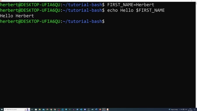 Defining and echoing a variable in the Bash terminal