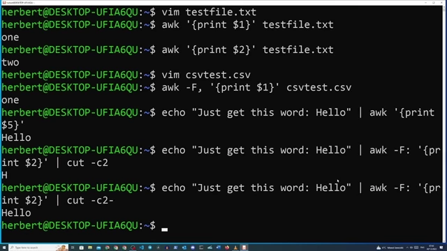 Terminal output demonstrating how AWK filters and reformats text, including changing field separators and piping command output.