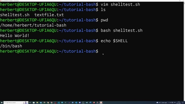 Steps to create and execute a Bash script, including adding a shebang, checking shell type, and granting executable permissions with `chmod`.