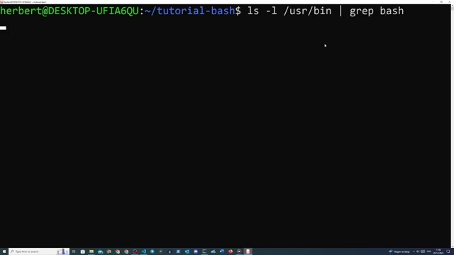 Example of using `ls -l` piped to `grep` for filtering specific files in the `/usr/bin` directory.
