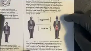 Higher Self vs. Lower Self as depicted in Freemasonry