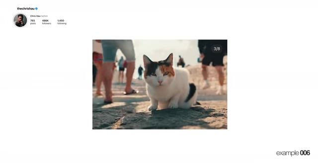 An example from Chris Hau's "Cats of Mykonos" carousel, demonstrating content that focuses on unique, non-obvious details.