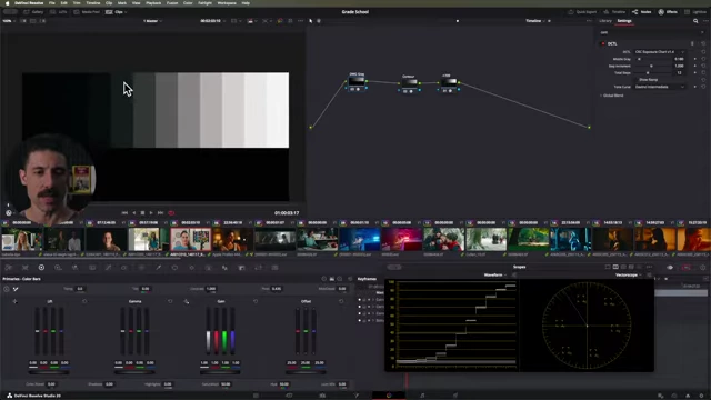 DaVinci Resolve's exposure chart displaying dynamic range steps in a grayscale gradient