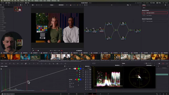DaVinci Resolve's custom curves for saturation adjustments showing how gamma can target lower saturations.