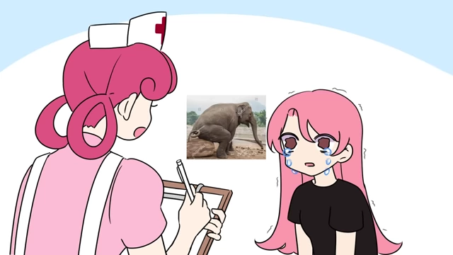 An ER nurse asks Honobread what the similarity is between an elephant and a bicycle
