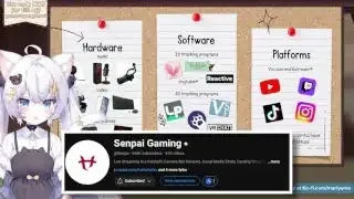 Senpai Gaming YouTube频道，提供IRL直播设置教程