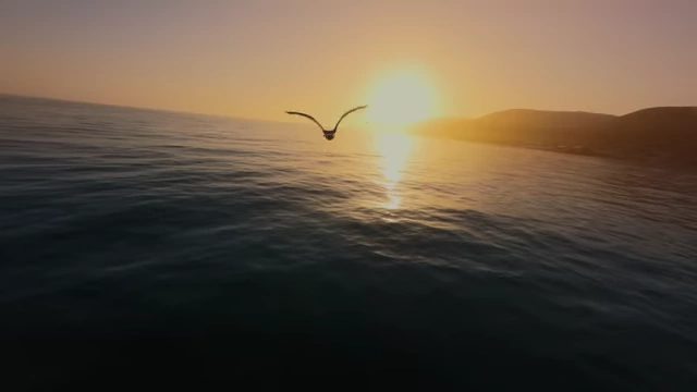 A professional drone shot, once considered "amazing" but now commonplace.