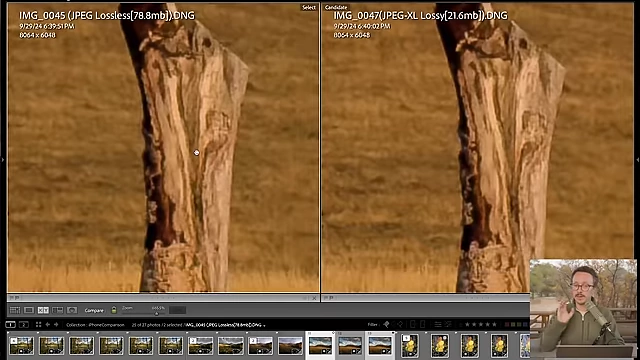 A highly zoomed-in comparison of the uncompressed ProRAW file (left, 78.8 MB) against the smallest JPEG-XL lossy file (right, 21.6 MB), demonstrating no discernible quality loss at high magnification.