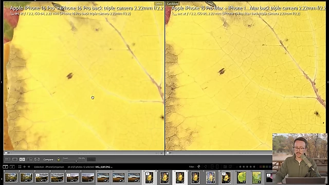 A zoomed-in comparison of macro shots on leaves, comparing the iPhone 16 Pro (left) and iPhone 15 Pro (right), showing comparable detail despite the 15 Pro's older sensor.