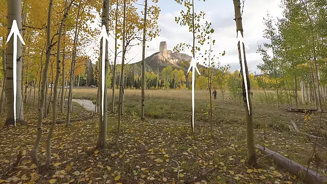The wide-angle landscape test scene, highlighting the Aspen trees used to test lens distortion.