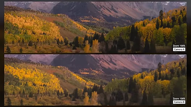 Zoomed-in comparison of the iPhone 16 Pro (bottom) and Canon R5 (top) in low-light (blue hour), revealing significant detail loss on the iPhone.