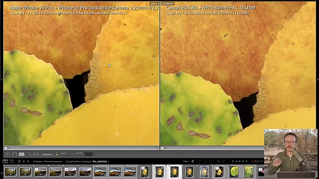 A zoomed-in comparison of macro shots on leaves, comparing the iPhone 16 Pro (left) and Canon R5 (right), showing the R5 has slightly sharper and clearer details.