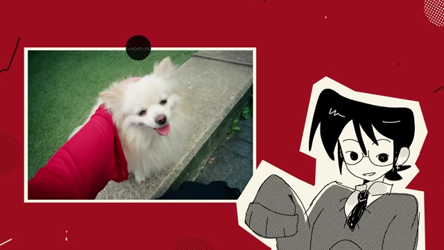 A photo of a dog, illustrating a meaningful photo taken with a film camera.