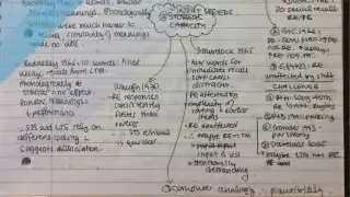 闭卷式蜘蛛图笔记示例，用于主动回忆和空间重复