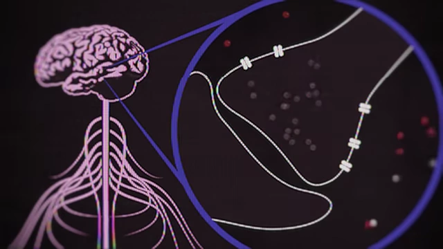 An infographic illustrating the human nervous system with a magnified section showing how lead (small dots) disrupts calcium signaling (larger circles) at neural synapses.