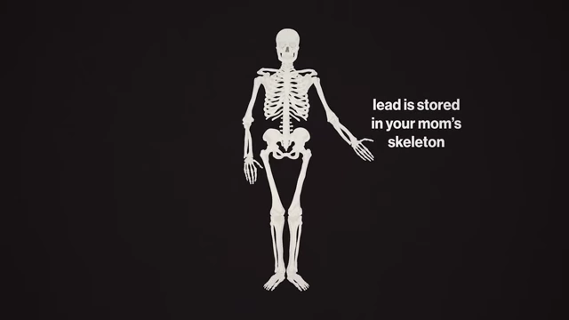 An illustration of a human skeleton, indicating that lead is stored in the mother's bones before being passed to the fetus.