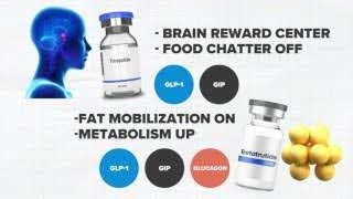 An infographic comparing the receptor profiles of Tirzepatide (GLP-1, GIP, effective for brain reward center and food chatter) and Retatrutide (GLP-1, GIP, Glucagon, effective for fat mobilization and metabolism increase).