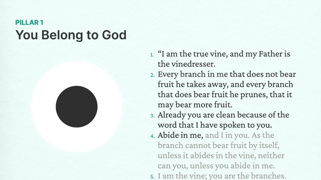 Pillar 1: You Belong to God with John 15:1-5 scripture reference