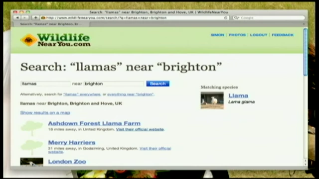 Search results for "llamas near Brighton" on Wildlife Near You, indicating the nearest locations.