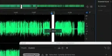 Noise Reduction process in Adobe Audition