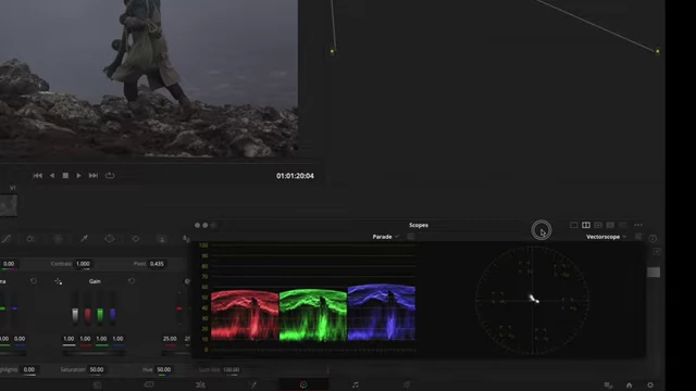 The Vectorscope displaying the hue and saturation plot of the image.
