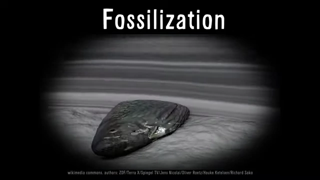 A visual representation of the fossilization process, where bones are mineralized into rocky forms.
