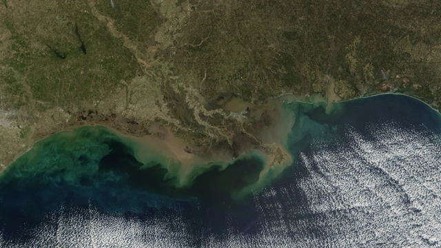 An aerial view of the Gulf of Mexico, where the Mississippi River disgorges sediment, creating conditions conducive to fossilization.