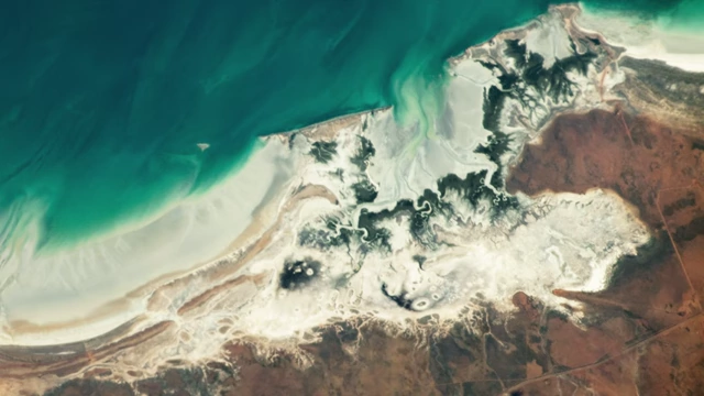An aerial view of mangrove swamps along Australia's northern coast, highlighted as prime locations for fossilization.