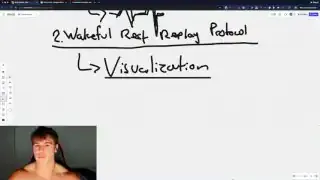 Wakeful Rest Replay Protocol & Visualization