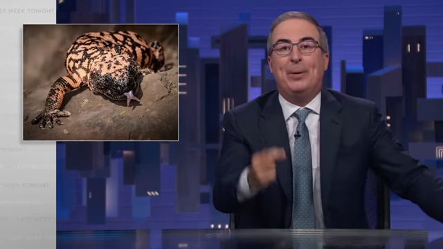 A Gila monster, whose venom was studied in an NIH-funded project, led to a hormone identified as the basis for drugs like Ozempic.