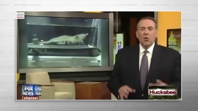 A 2011 Fox News report shows a shrimp on a treadmill, an example frequently cited by conservatives as frivolous research.