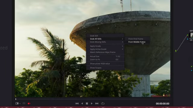 Context menu showing the "Grab All Stills" option to add multiple photos to the stills gallery
