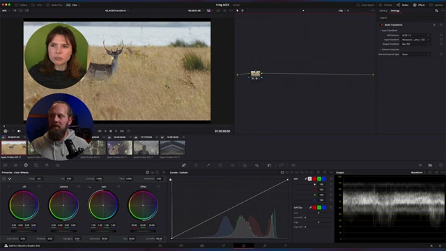 Node pipeline demonstrating two ACES Transform nodes, one for input (Panasonic VariCam V-Log V-Gamut to ACES CCT) and one for output (ACES CCT to Rec.709).