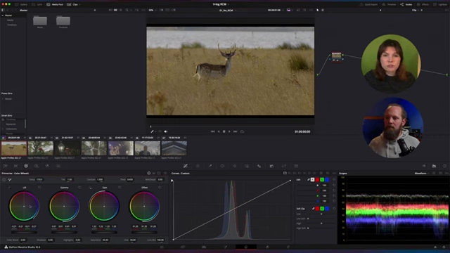 Manual grading in DaVinci Resolve using primary color wheels, with the waveform reflecting saturation and tint adjustments.