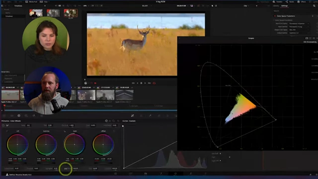 DaVinci Resolve's CIE Chromaticity Diagram scope showing an image's color representation within the Rec.709 gamut.