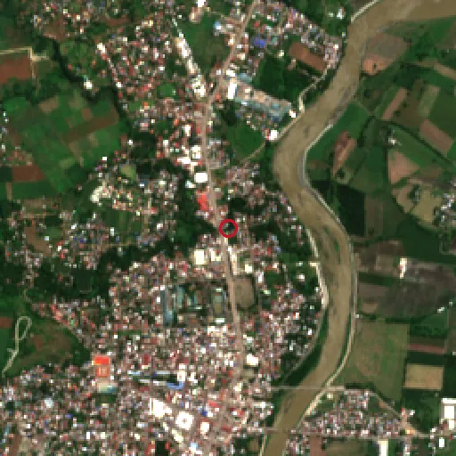 Before Sentinel-2