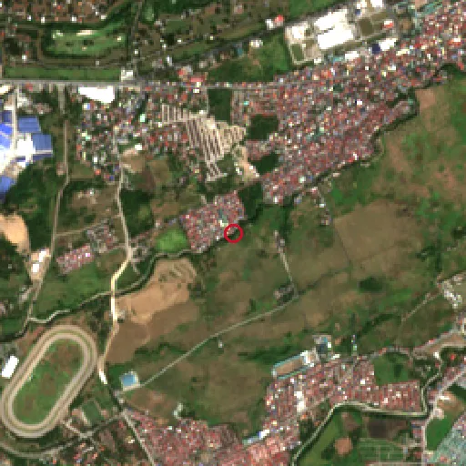 Before Sentinel-2