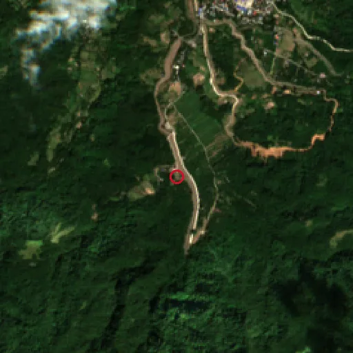 Before Sentinel-2