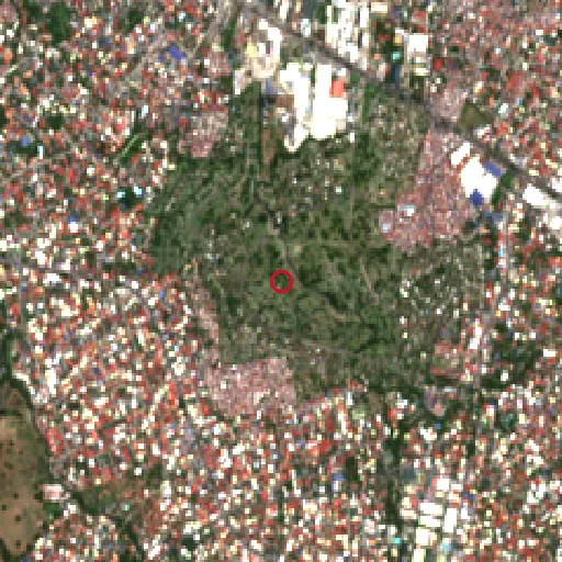 Before Sentinel-2