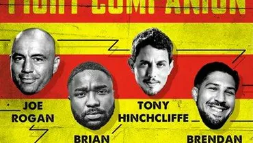 Fight Companion - August 17, 2024
