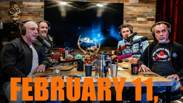 Fight Companion - February 11, 2023