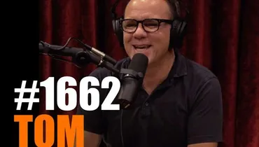 #1662 - Tom Papa