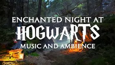 Enchanted Night at the Forbidden Forest - Harry Potter Hogwarts Legacy Music and Ambience