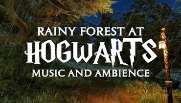 Rainy Forest at Hogwarts  | Harry Potter Ambience & Relaxing Music