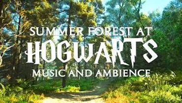 Summer Forest at Hogwarts | Hogwarts Ambience & Relaxing Music