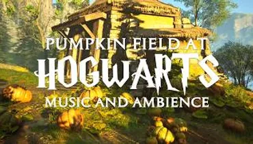 A Calm Pumpkin Field at Hogwarts | Harry Potter Music & Cozy Atmosphere for Relaxing, Study & Sleep