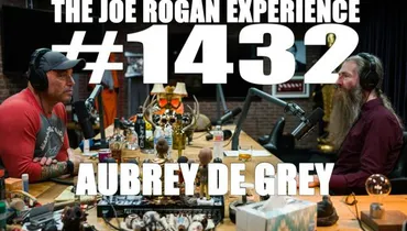 #1432 - Aubrey de Grey