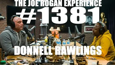 #1381 - Donnell Rawlings