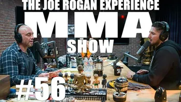 JRE MMA Show #56 with Brendan Schaub